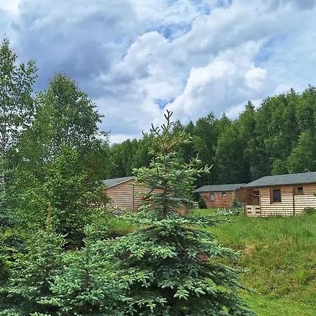 Domek letniskowy Pod Brzózkami *