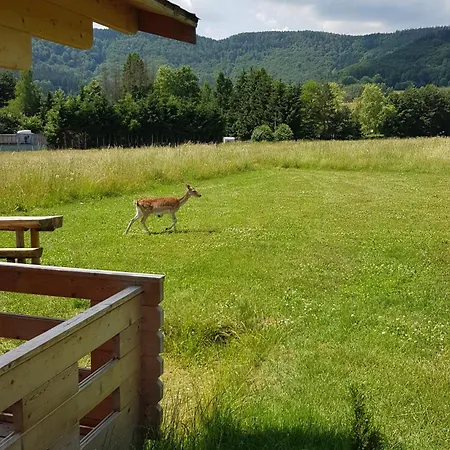 אכסניה Pod Brzozkami