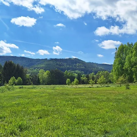 Pod Brzozkami * ואמביירז'צה