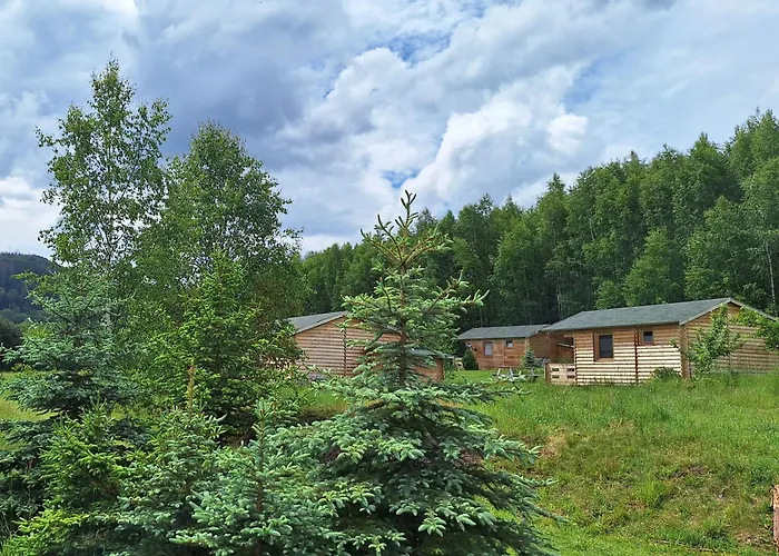 Lodge Pod Brzozkami *