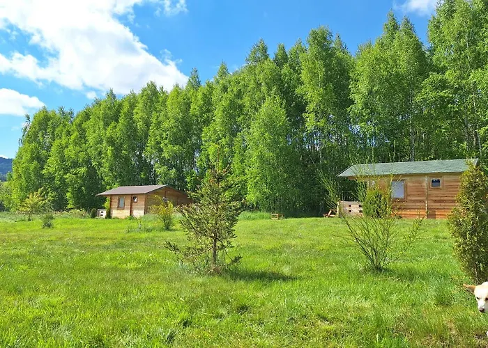 Orman Evi Pod Brzozkami