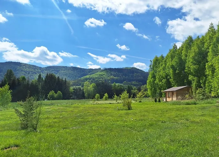 Pod Brzozkami Orman Evi